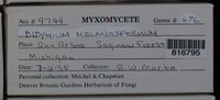 Image Associated With the Occurence